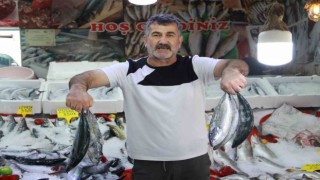 Balıkçı tezgahları renklendi