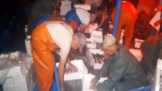 Balıkçıların ağları palamut ve istavrit ile doldu