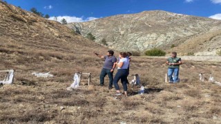 Başpınar köyüne 100 bin tuz çalısı dikilecek