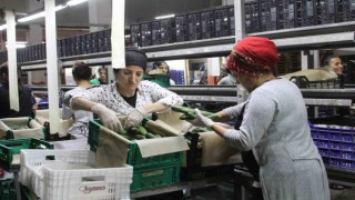 Batı Akdenizden 8 ayda1 milyar 765 milyon dolar ihracat