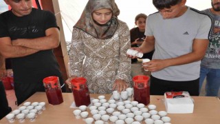 Batmanda dağlardan toplanan şifa kaynağı sumak ailelere geçim kaynağı oluyor