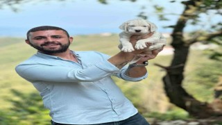 Belediye başkanının yeğeni trafik kazasında hayatını kaybetti