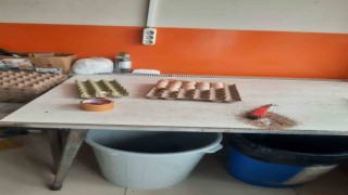 Bilecikte zabıta, vatandaşı ‘köy yumurtası diye kandıran satıcıyı yakaladı