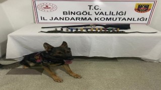 Bingölde 2 adet ruhsatsız av tüfeği ele geçirildi