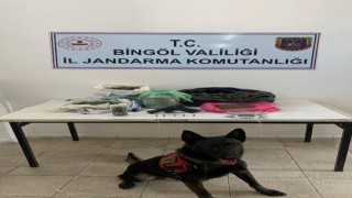 Bingölde uyuşturucu operasyonu: 3 gözaltı