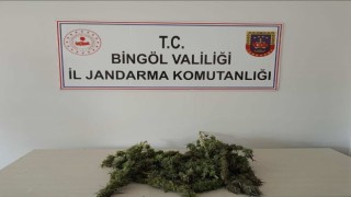 Bingölde uyuşturucuyla mücadele sürüyor