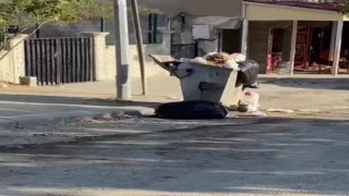 Biriken çöpler ilçede tepkilere neden oluyor