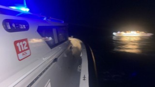 Bodrumda 49 düzensiz göçmen kurtarıldı