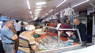 Boluda hamsinin fiyatı 50 lira birden düştü