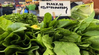 Bu iki otu karıştıran soluğu hastanede alıyor