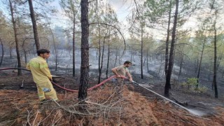 Bursada çıkan orman yangını kontrol altına alındı