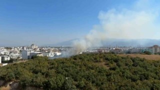 Bursada çocukların torpille eğlencesi yangına neden oldu