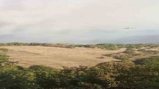 Bursada korkutan orman yangını