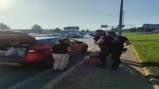 Bursada trafikte yavru kedi alarmı..Polisler 4 araca giren kediyi kurtardı