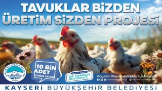 Büyükşehir, kırsaldaki kadın üreticilere 10 bin tavuk dağıtacak