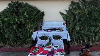 Çaycumada uyuşturucu tacirlerine büyük operasyon