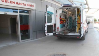 Ceviz toplamak için çıktığı ağaçtan düşerek yaralandı