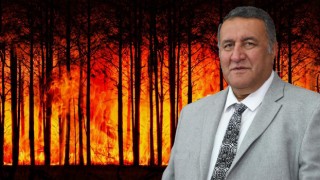 CHP'li Gürer "Orman Yangınları Binlerce Ağacı Yok Etti, Önlemler Yetersiz Kaldı"