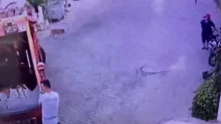 Çöp kamyonunun altında can verdi