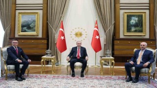 Cumhurbaşkanı Erdoğan, Polonya Meclis Başkanı Holowniayı kabul etti