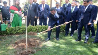 Cumhurbaşkanı Yardımcısı Yılmaz: Bilecikte bizim de artık bir dikili çınarımız olacak