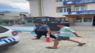 Dana hırsızları tutuklandı
