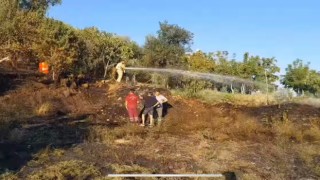 Denizlide çıkan yangın ormana sıçramadan söndürüldü