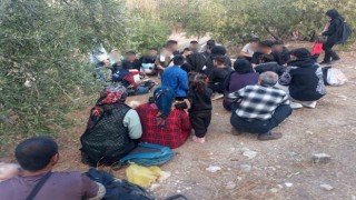 Didim ve Sökede 70 düzensiz göçmen yakalandı