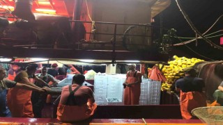 Didimde ‘Hamsi Kotası denetimi yapıldı