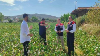 Didimde üretim alanları kontrol edildi