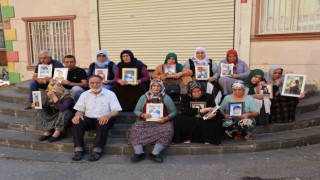 Diyarbakırda ailelerin evlat nöbeti kararlılıkla sürüyor