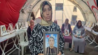 Diyarbakırda evlat nöbetine 377nci aile katıldı