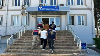 Dolandırıcılık operasyonunda 3 gözaltı