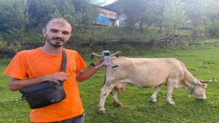 Drona çobanlık yaptırıyor