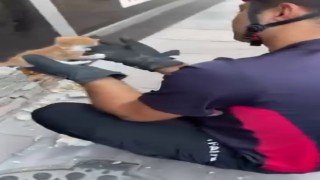 Duvar içine sıkışan yavru kedi itfaiyenin titiz çalışmasıyla kurtarıldı