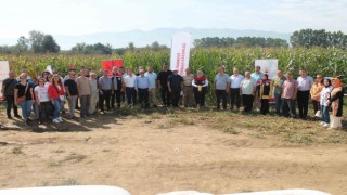 Düzcede yerli silajlık mısır tarla günü düzenlendi