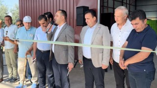 Düziçi'nde Yeni Zeytinyağı Fabrikası Açıldı
