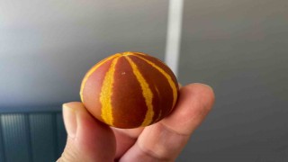 Elazığda kavunun küçüklüğü şaşırttı