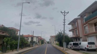 Elektrik direğinde kumru yuvası bulundu, çalışma ertelendi