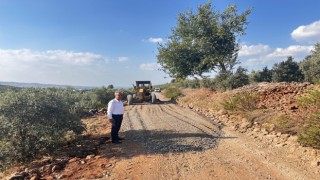 Ellek'te Zeytin Bahçelerine Giden Yollar Asfaltlanıyor