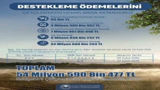 Eskişehirde çiftçiye 54 milyon 590 bin 477 lira tarımsal destek