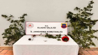 Evinin bahçesine uyuşturucu ekmiş