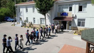 Fındık hırsızlarının hayali jandarmanın planıyla suya düştü: 22 gözaltı