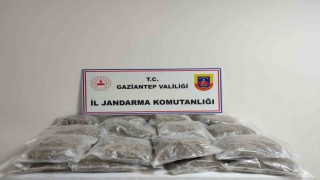 Gaziantepte 32 kilogram skunk ele geçirildi