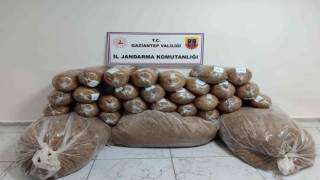Gaziantepte 500 kilo kaçak tütün ele geçirildi