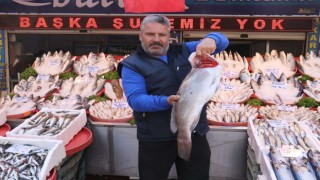 Gaziantepte havaların serinlemesiyle balık satışları arttı