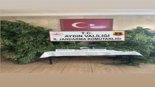 Germencikte uyuşturucu operasyonu: 1 gözaltı