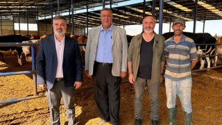 Gürer; "Süt Fiyatları Üreticiyi Kurtarmıyor"