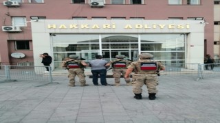 Hakkaride 11 kişi tutuklandı