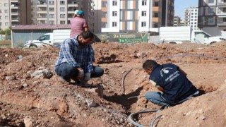 Haliliyede yeşil alan çalışması